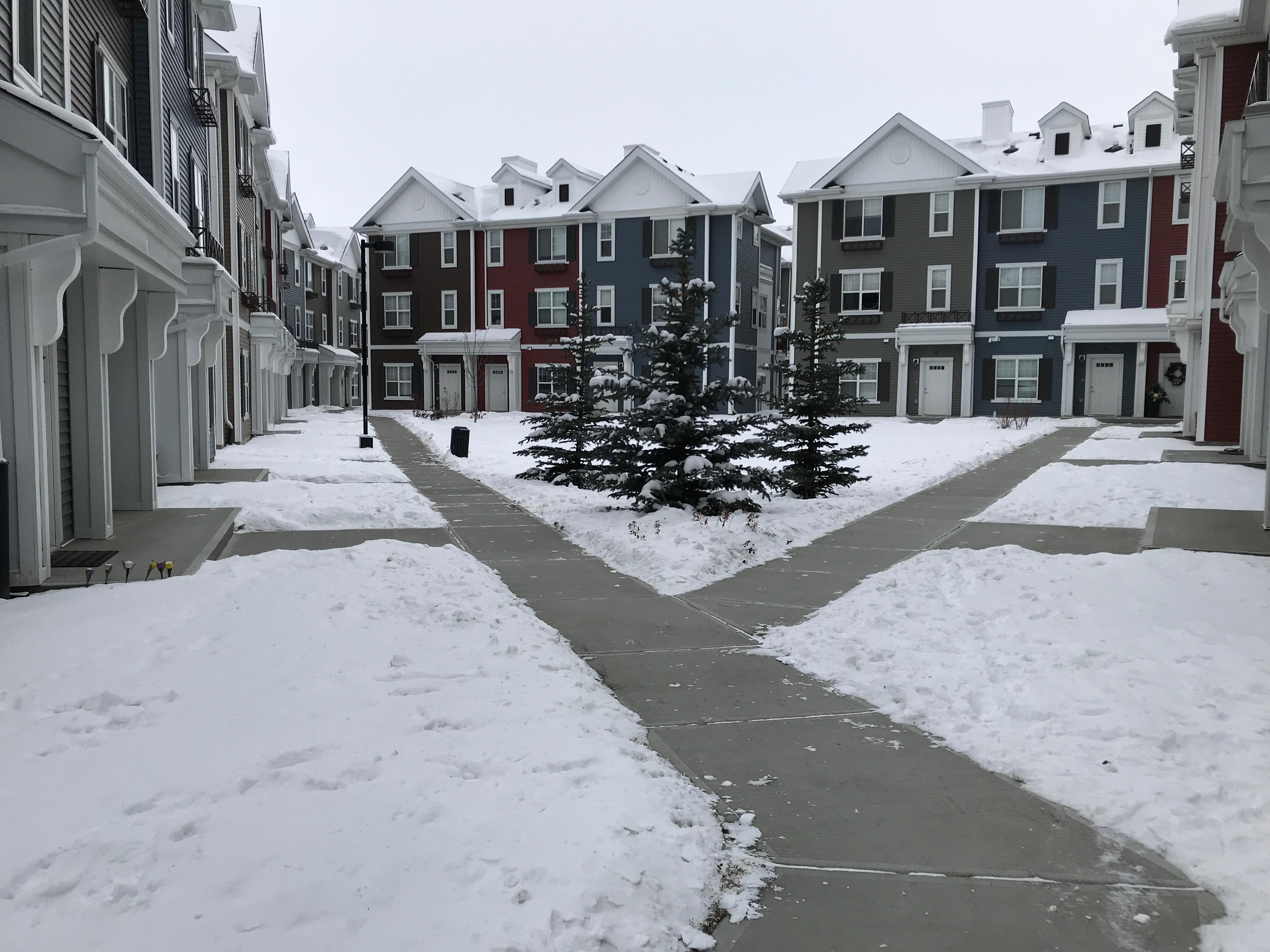 Townhouse complex courtyard with cleared Y-shaped walkway through heavy snow